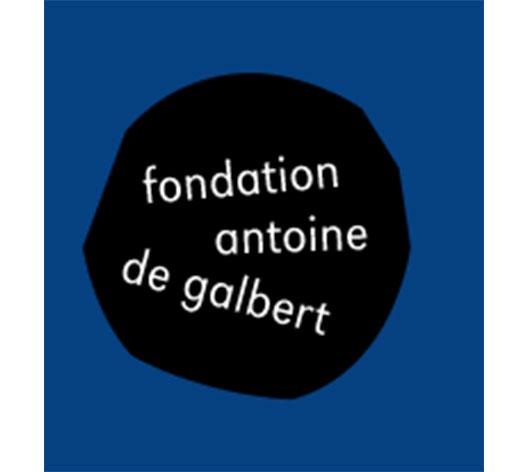 Logo Fondation Antoine de Galbert