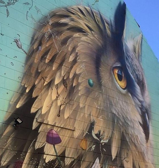 REIMS - 1 - Street Art