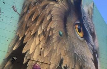 REIMS - 1 - Street Art