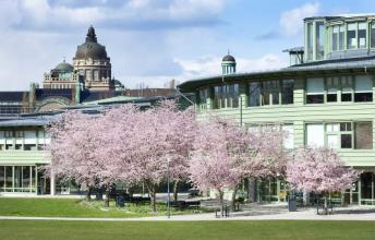 Stockholm University