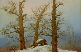 Paysage