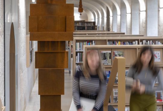 Vue_de_la_bibliotheque