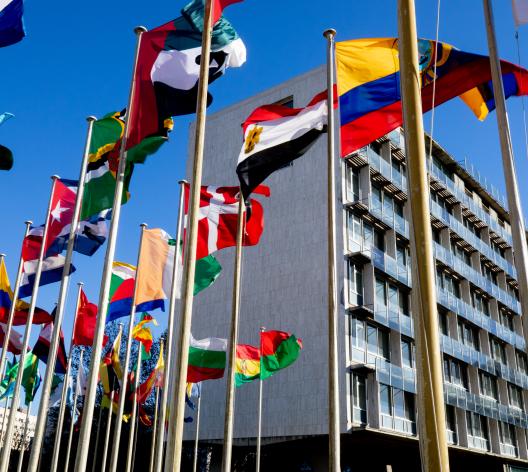 La Maison de l'UNESCO