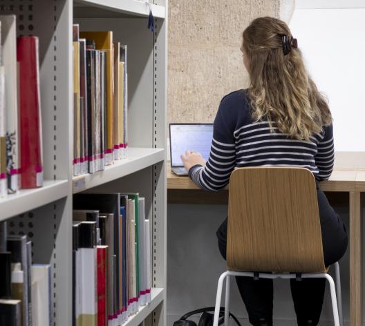 Élève travaillant à la bibliothèque 