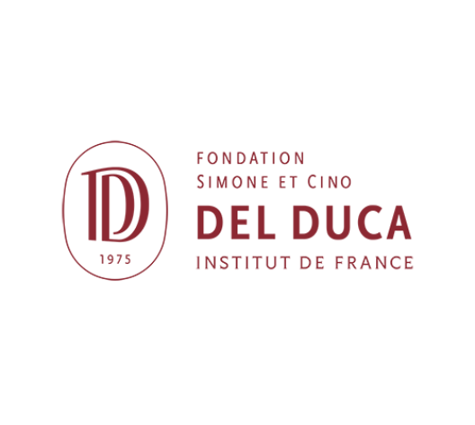 LOGO_FONDATION_IDF_DEL_DUCA