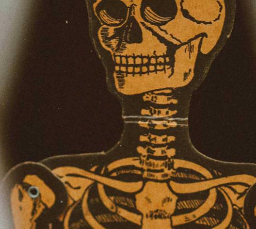 Visuel séminaires restes humains et déontologie