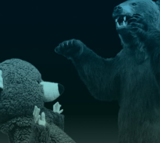 Un ours empaillé attaquant un ours en peluche