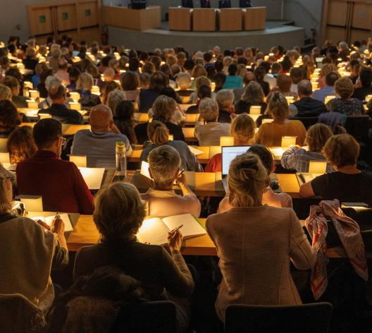 Rapport d'activité 2024