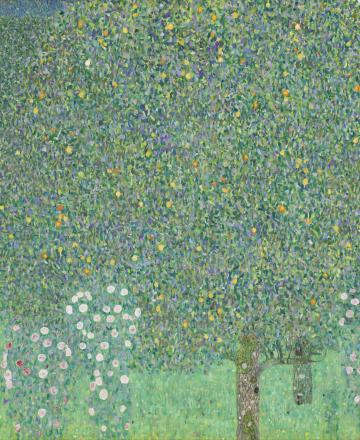 Gustav Klimt, Rosiers sous les arbres, 1905