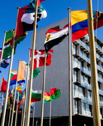 La Maison de l'UNESCO