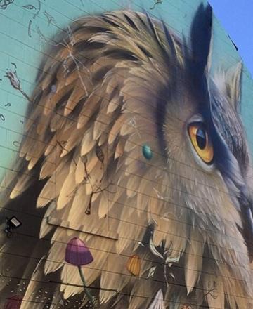 REIMS - 1 - Street Art