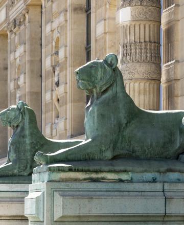 Statues de lions à l'entrée de l'École du Louvre