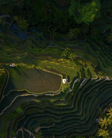 Coopération franco-indonésienne : rencontre avec le Ministre de la Culture et mission à Yogyakarta