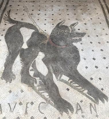 CC épigraphie latine cave canem 